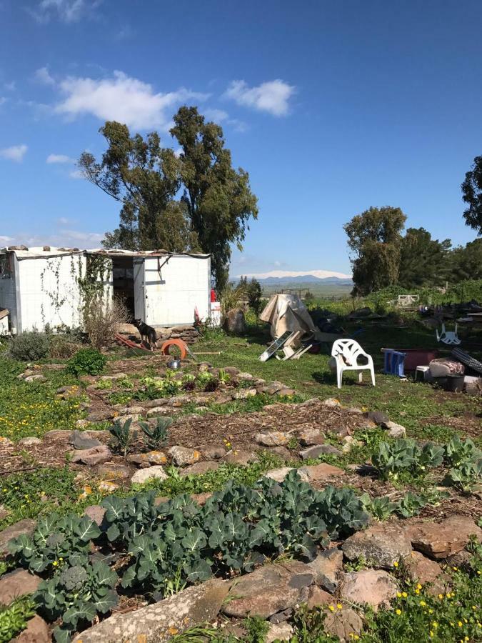 Natura-Eco Farm Extérieur photo
